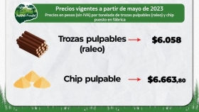 Misiones | Rigen desde mayo precios mínimos actualizados para tonelada de raleo, chip y rollos aserrables