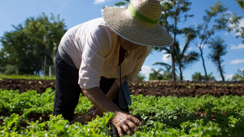 Impulso a la agroecología y a la agricultura familiar en Corrientes y Misiones