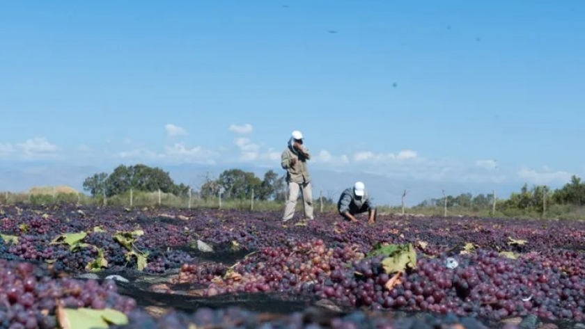Se viene el Primer Congreso Bioagroindustrial