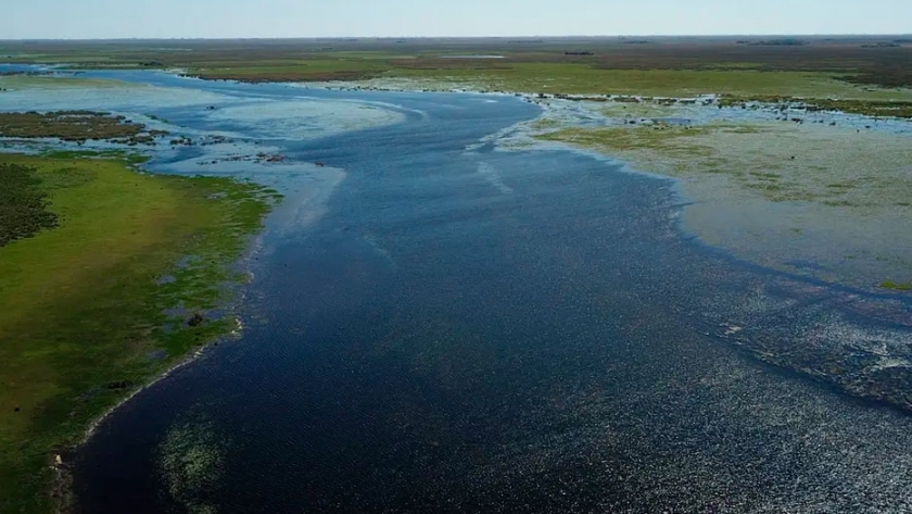  La guerrera que lucha por la conservación de flora y fauna en los Esteros del Iberá