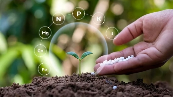 Biológicos en auge: Summit Agro impulsa soluciones sostenibles para una agricultura más eficiente