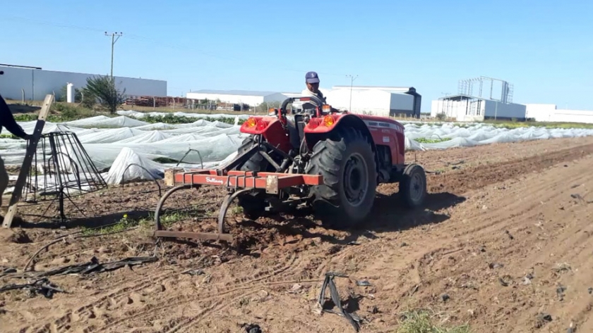 Afectan maquinaria agrícola del Estado a la producción de alimentos