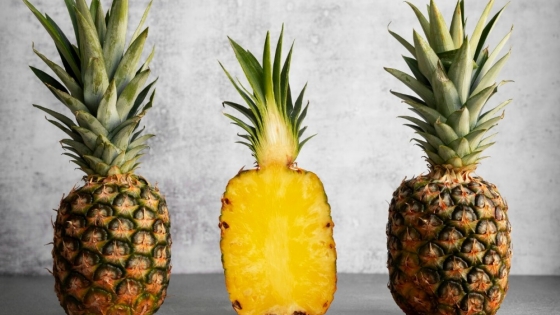 De residuo a insumo clave: convierten cáscaras de piña en nanofibras que mejoran suelos del desierto