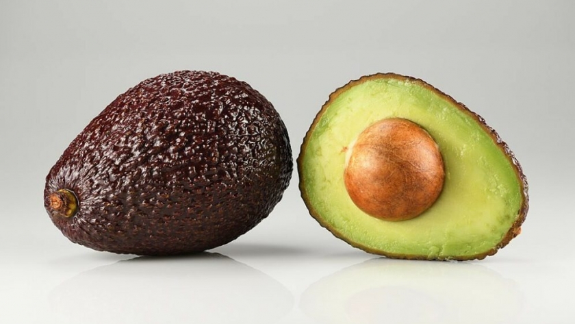 La producción de palta bajo la lupa: impacto ambiental y social en América Latina