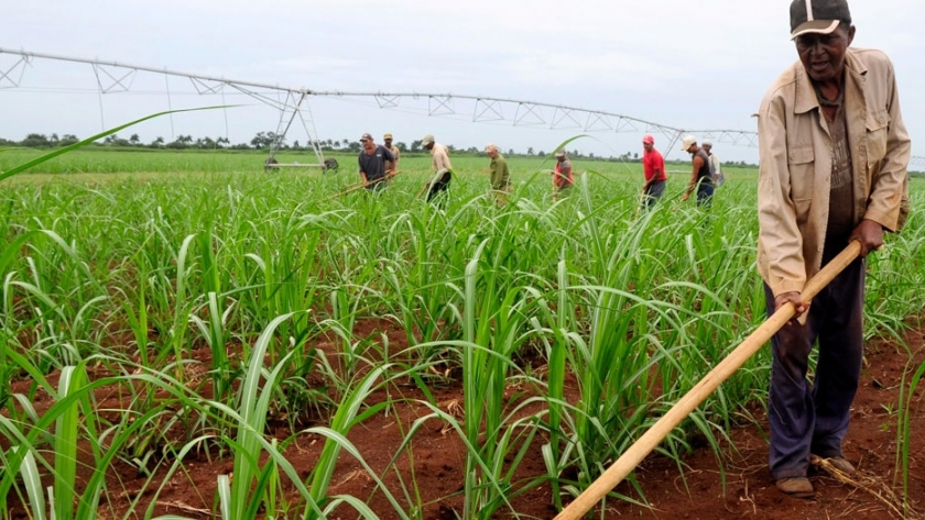 Bolivia apuesta por el crecimiento del agro