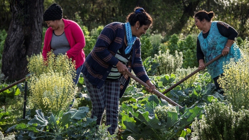 Se lanzó la convocatoria a proyectos 2020-2021 del Programa de Pequeñas Donaciones