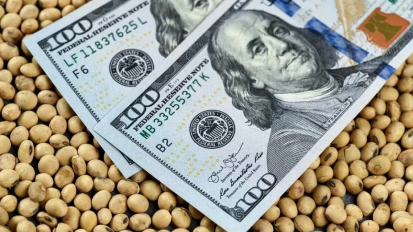 El agro rompe récord en 2024: liquidación de divisas supera los USD 25.000 millones