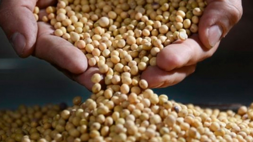 La rebaja de las retenciones fue aprovechada por las aceiteras