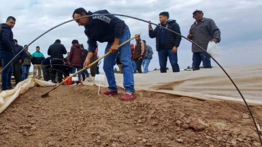Productores tabacaleros se capacitaron en biofertilización en jornada impulsada por la subsecretaría de agricultura
