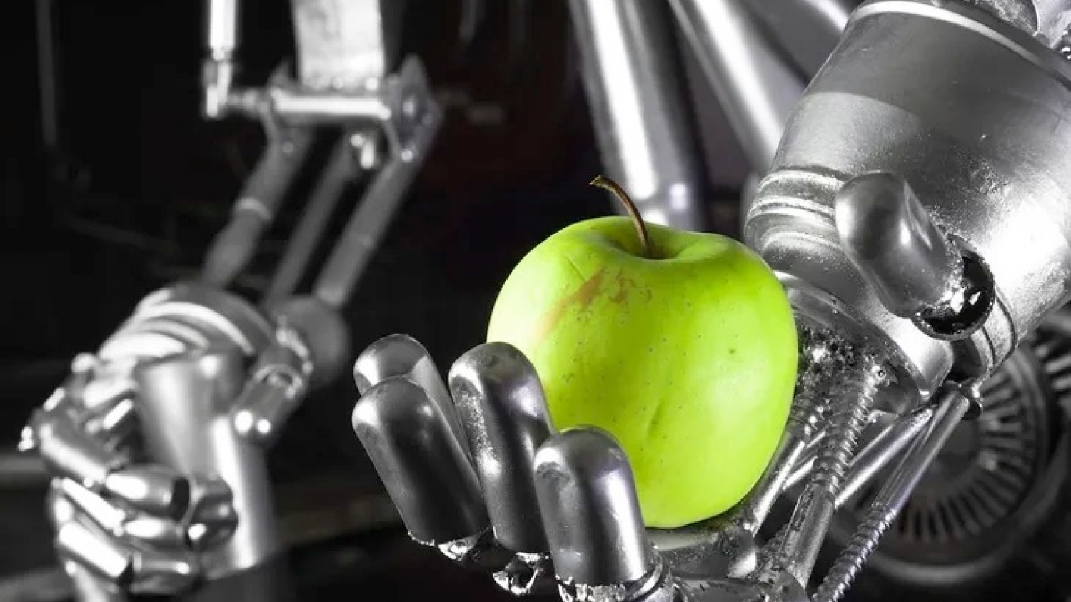 Tecnología y sustentabilidad: la revolución digital que transforma la poscosecha frutihortícola