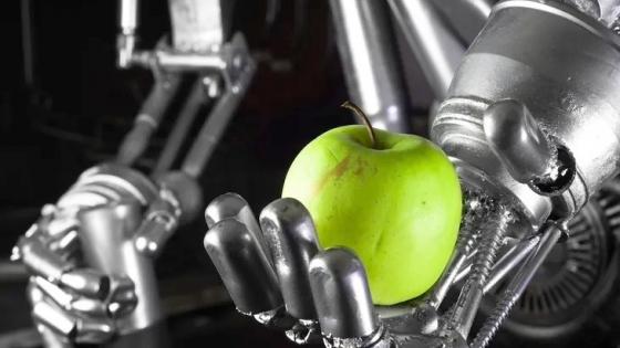 Tecnología y sustentabilidad: la revolución digital que transforma la poscosecha frutihortícola