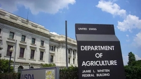 USDA estima una mejor cosecha que los informes locales en soja y maíz: qué pasa con la tendencia de precios