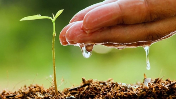 Día Mundial del Medio Ambiente: la tecnología se consolida como aliada de una producción más sustentable.
