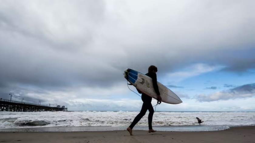 Cierre de playas en Australia por aparición de peces muertos y espuma tóxica