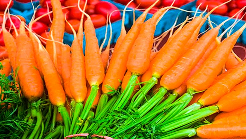 Zanahorias, tomates y té verde podrían revertir síntomas del Alzheimer