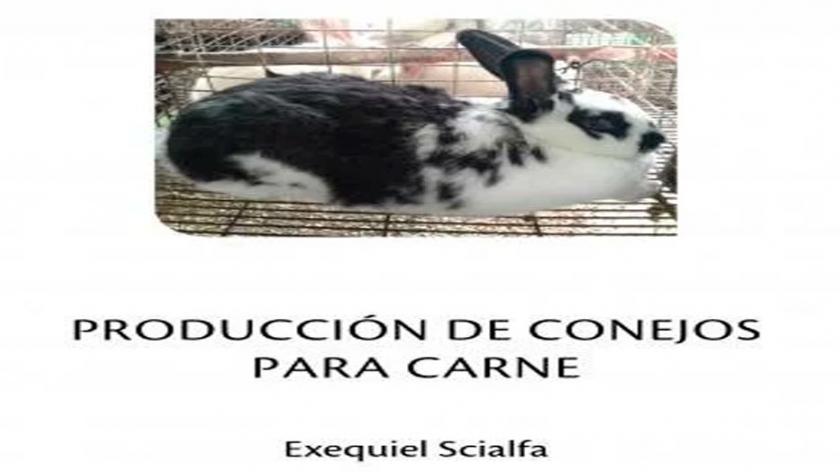 Nuevo libro de la Unicen sobre producción de conejos