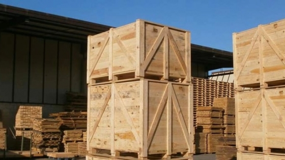 Senasa simplifica exportación de pallets y embalajes de madera para agilizar procesos