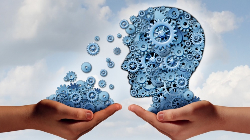 Descubriendo el neuroliderazgo: Equipos extremos y efectivos