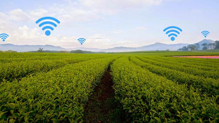 Transformando la agricultura a través de la innovación