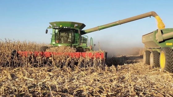 Advierten que los alquileres de los campos están por encima de la capacidad de pago de los productores