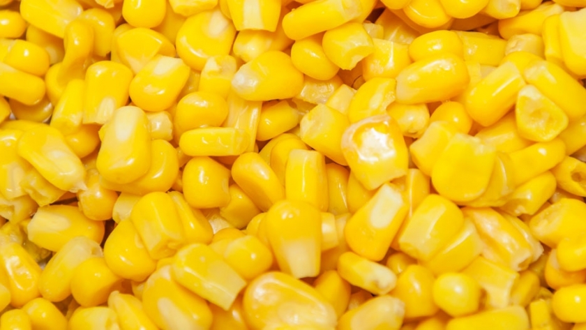 Agroindustria fortalece la mejora en la producción de alimento balanceado en el norte de Misiones