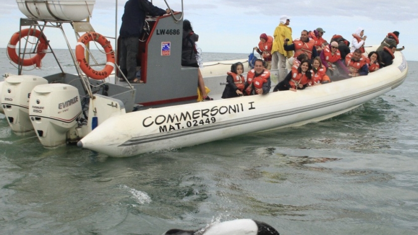 Chubut recibirá un Fam Tour de Agencias de Viaje Internacionales
