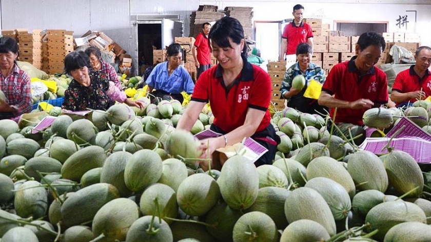 China establece cooperativas de agricultores en aldeas más pobres