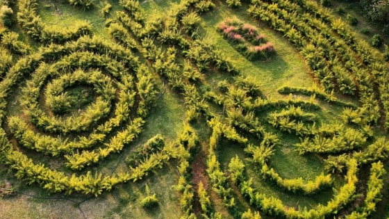 San Antonio de Areco: parrillas, cultura y un laberinto natural a una hora de Buenos Aires