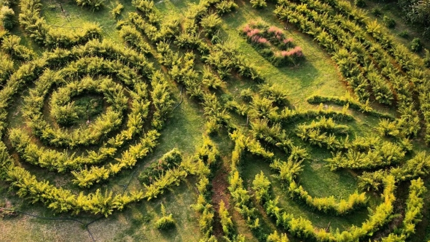 San Antonio de Areco: parrillas, cultura y un laberinto natural a una hora de Buenos Aires