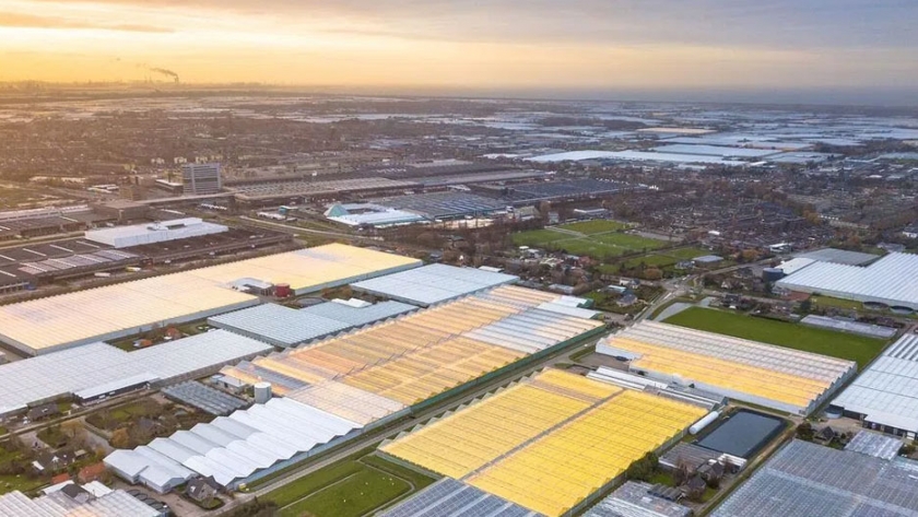 Autogrow se expande a Europa con un nuevo rol y nuevas soluciones agrícolas 