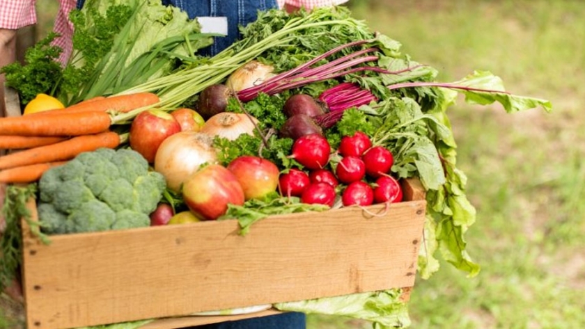 ¡Más alimentos orgánicos!