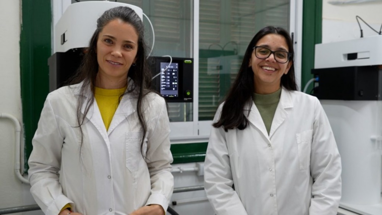 Especialistas convierten la miel en polvo para facilitar su uso en la industria alimentaria