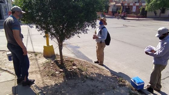 Inspecciones intensivas para prevenir el HLB en localidades de la provincia de Jujuy