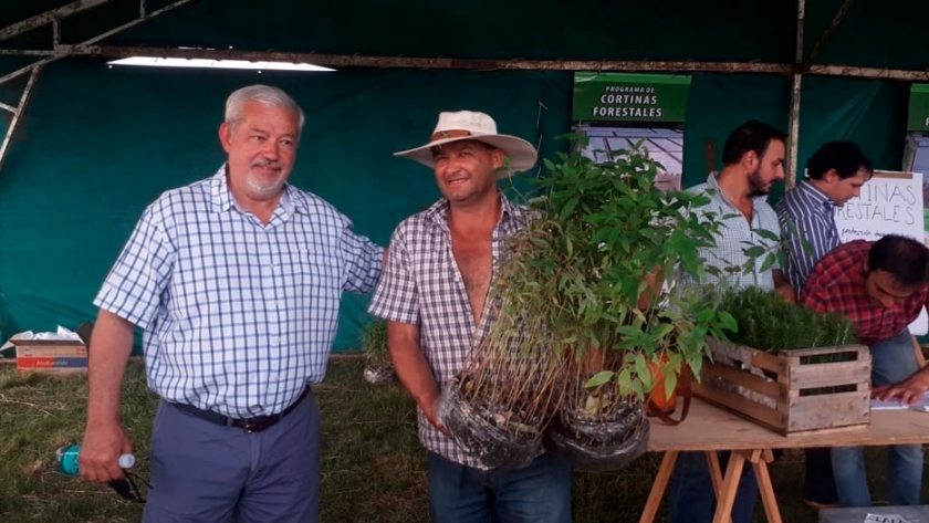 Programa Cortinas Forestales en Corrientes