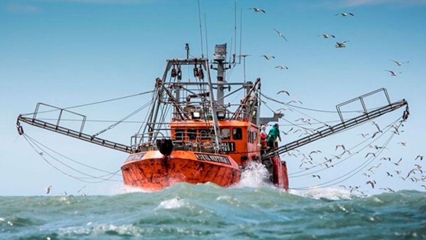 Pesca: el 2019 cerró con números negativos 