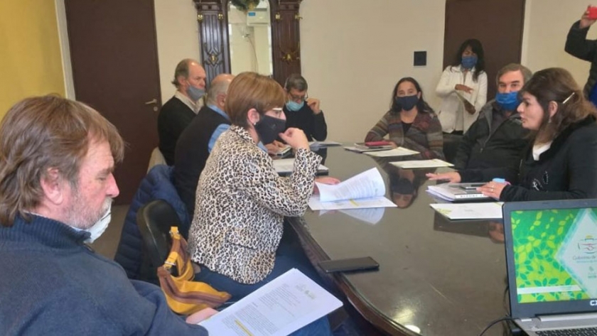 Bosques Nativos: reunión por cambios en la Ejecución de Fondos 2020