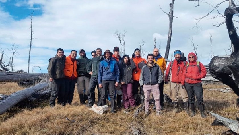 Avanza la restauración de bosques incendiados en Tierra del Fuego