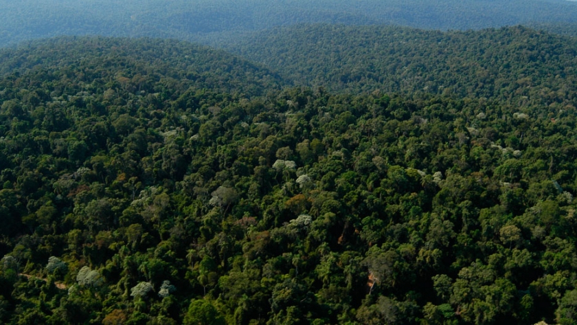 Ecoturismo en Misiones