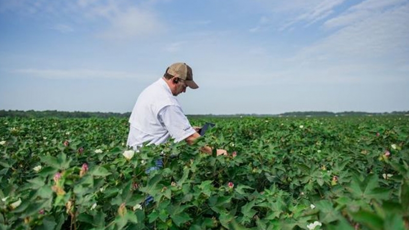 Los agricultores norteamericanos se benefician de la presión de los consumidores para que las empresas alimentarias se vuelvan ecológicas