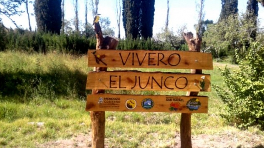 Se destinaron más de $120.000 para que viveros provinciales produzcan forestales nativos