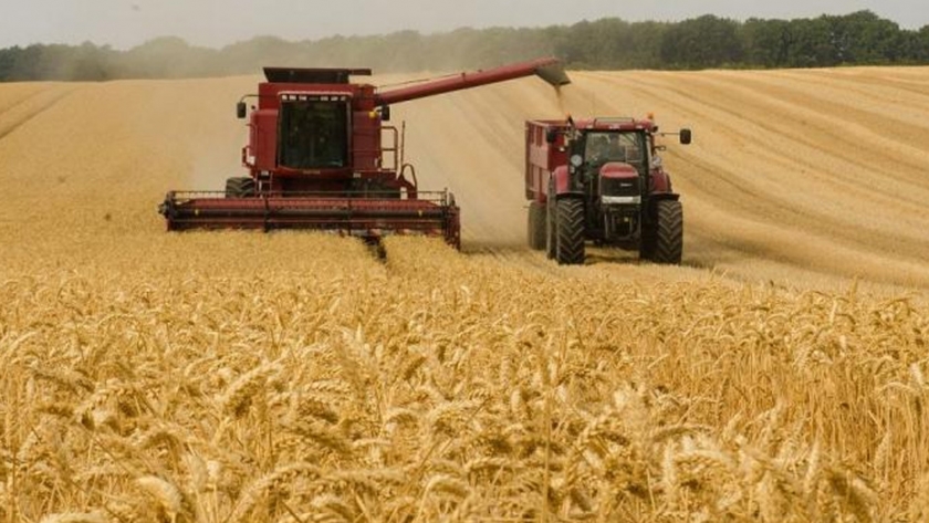 Para cuando las cosas van mal: El Reino Undio preservar la biodiversidad microbiana del suelo la agricultura
