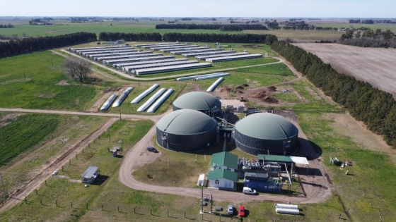 Biogás porcino y economía circular: la planta bonaerense que convierte residuos en energía limpia