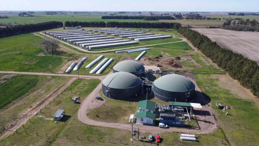 Biogás porcino y economía circular: la planta bonaerense que convierte residuos en energía limpia