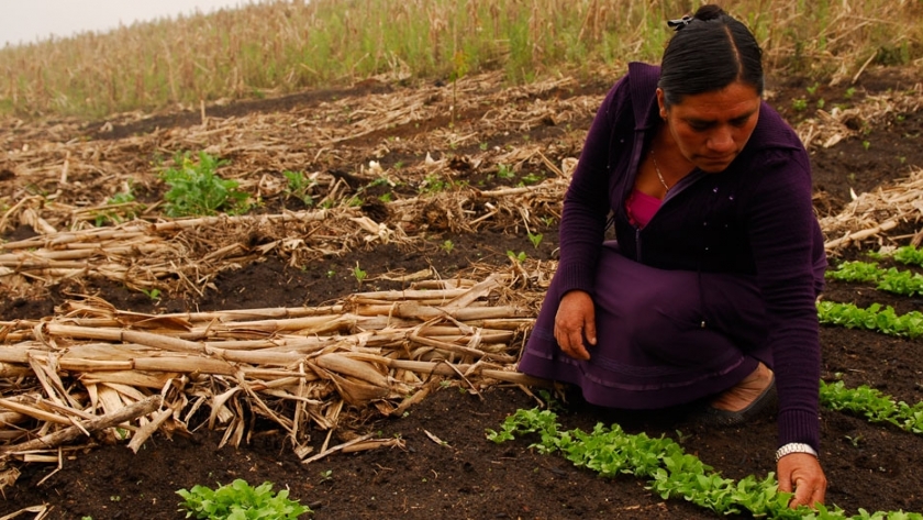 Mujeres rurales: la FAO lanza una campaña por sus derechos