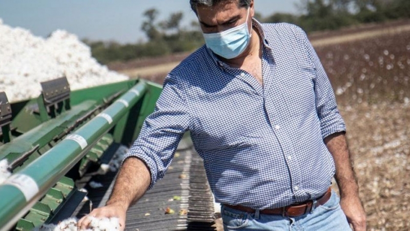 Capitanich destacó el rendimiento de soja y algodón y proyecta buenas cosechas para el agro chaqueño