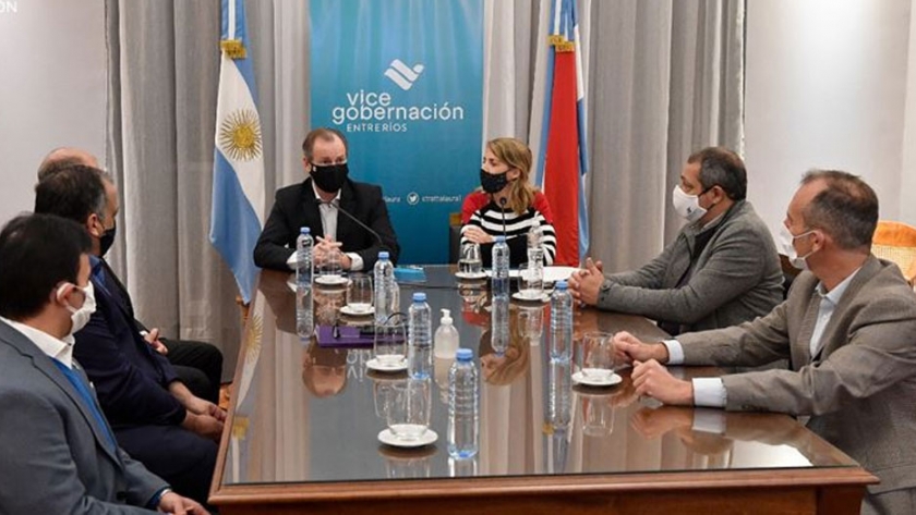 Avances en protocolos para las universidades