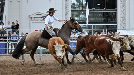 El Caballo Criollo refuerza su protagonismo en Palermo con competencias, genética y una agenda que refleja el crecimiento de la raza