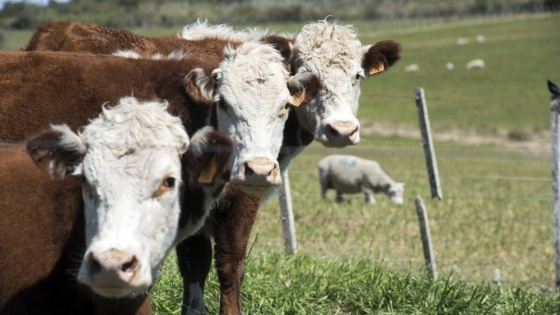 Fuerte rechazo rural a la propuesta de la “tasa al metano” y aumento de la tensión política