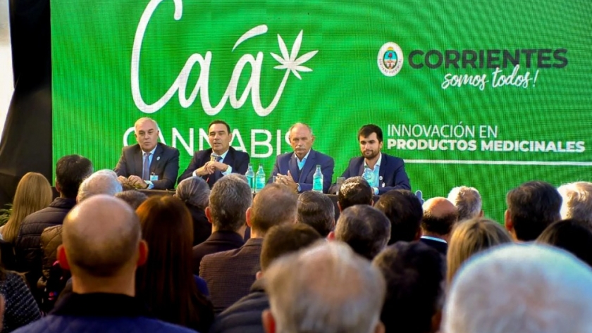 Gustavo Valdés presentó el primer aceite medicinal de cannabis producido íntegramente en Corrientes