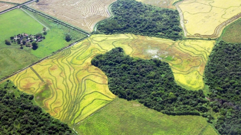 Los suelos de la Argentina almacenan el 2 % de la reserva mundial de carbono